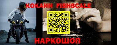 крисы Шебекино