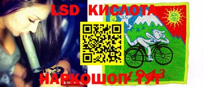 СК Шелехов