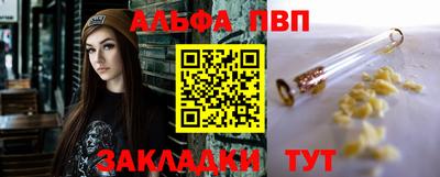 крисы Шебекино