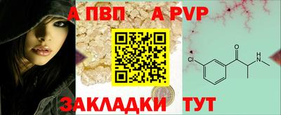 крисы Шебекино